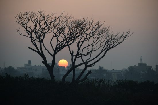 Photo by Srinivasan Venkataraman on Unsplash